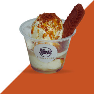 Coffee Crunch Ice Cream